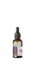 Óleo de Nossa Senhora das Lágrimas