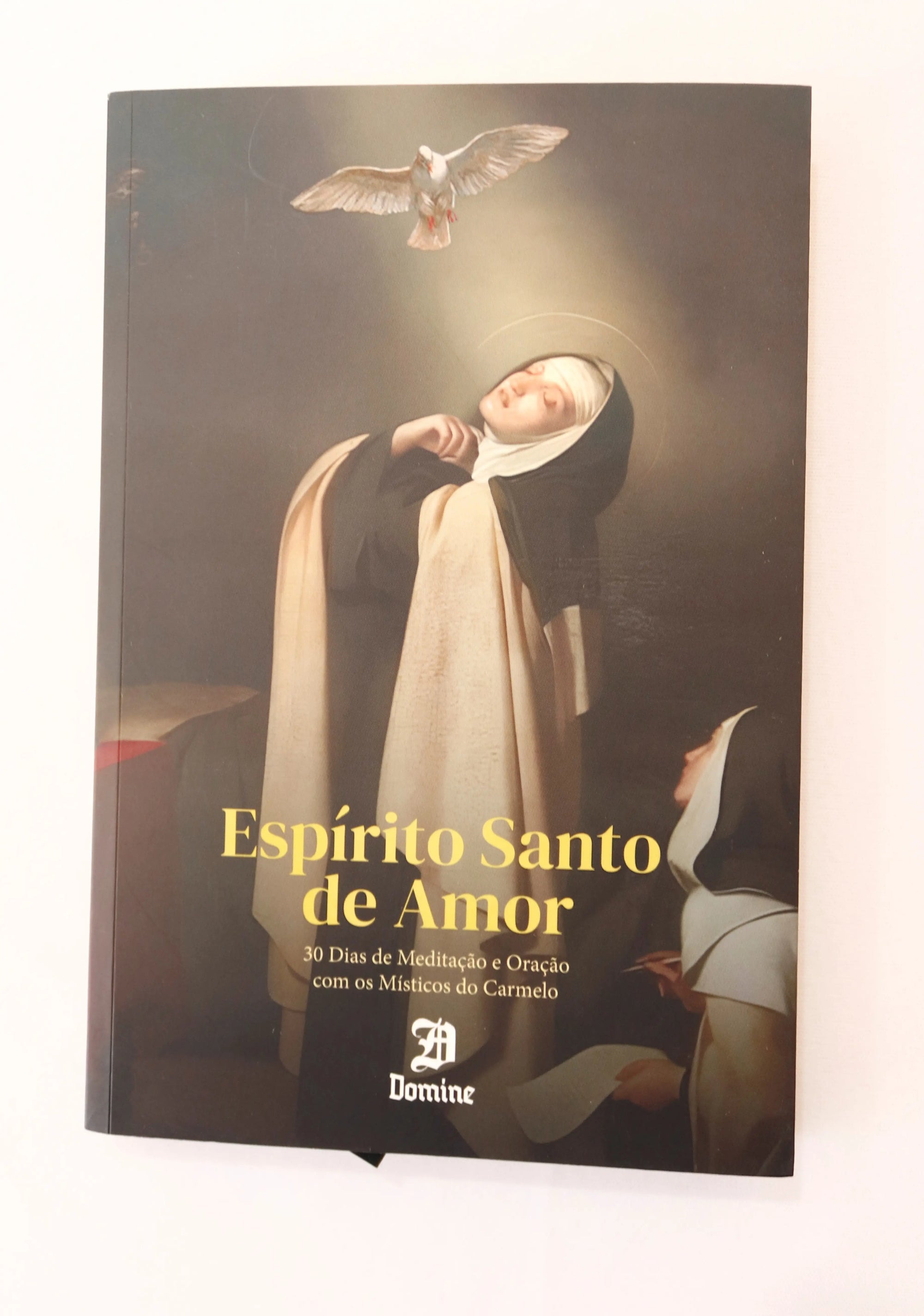 Livro Espírito Santo de Amor - 30 dias de Meditação com os Místicos do Carmelo /saldão de verão - compre 2 leve 3