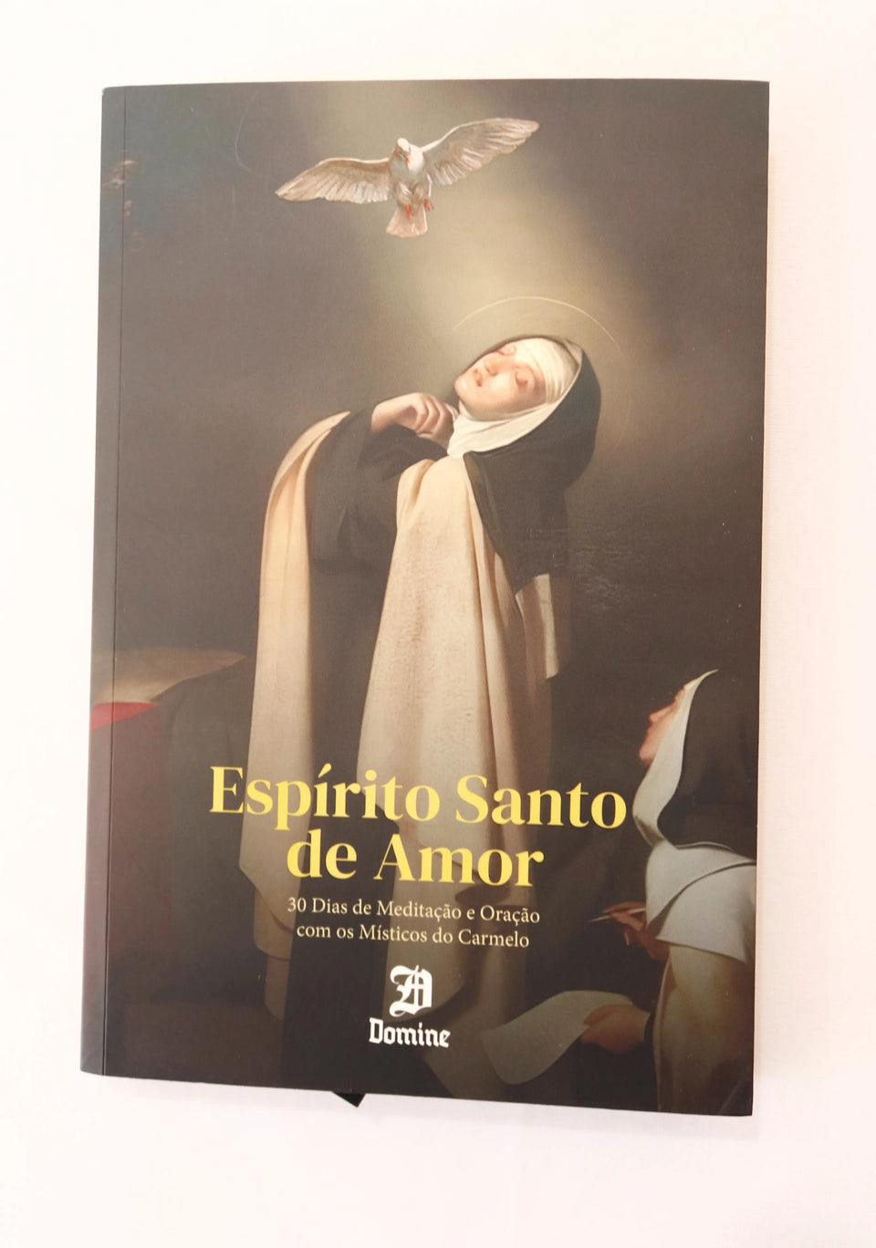 Livro Espírito Santo de Amor - 30 dias de Meditação com os Místicos do Carmelo /saldão de verão - compre 2 leve 3