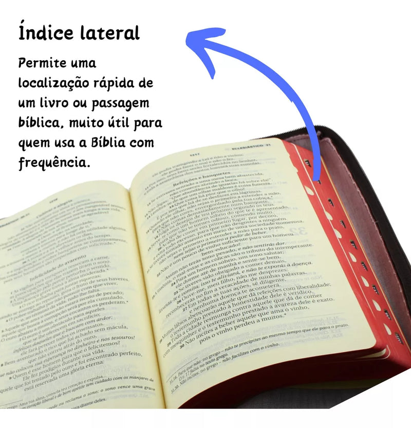 Bíblia Ave Maria