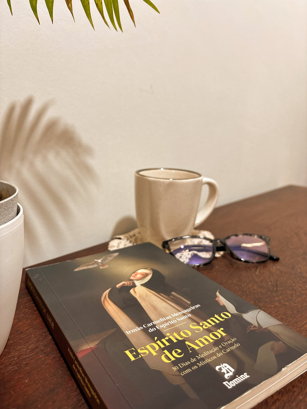 Livro Espírito Santo de Amor - 30 dias de Meditação com os Místicos do Carmelo