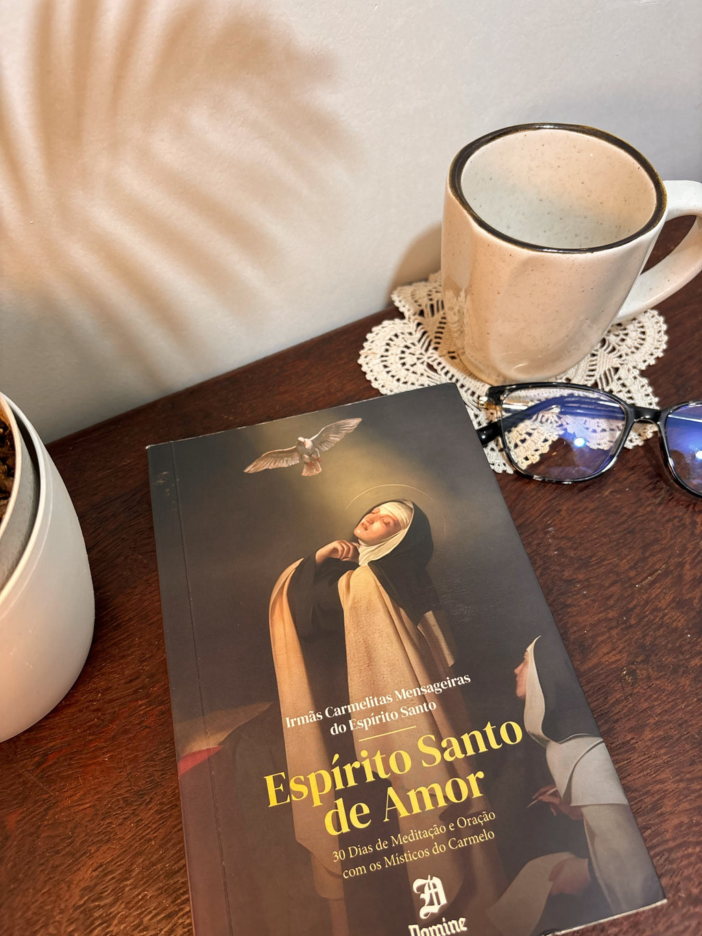 Livro Espírito Santo de Amor - 30 dias de Meditação com os Místicos do Carmelo