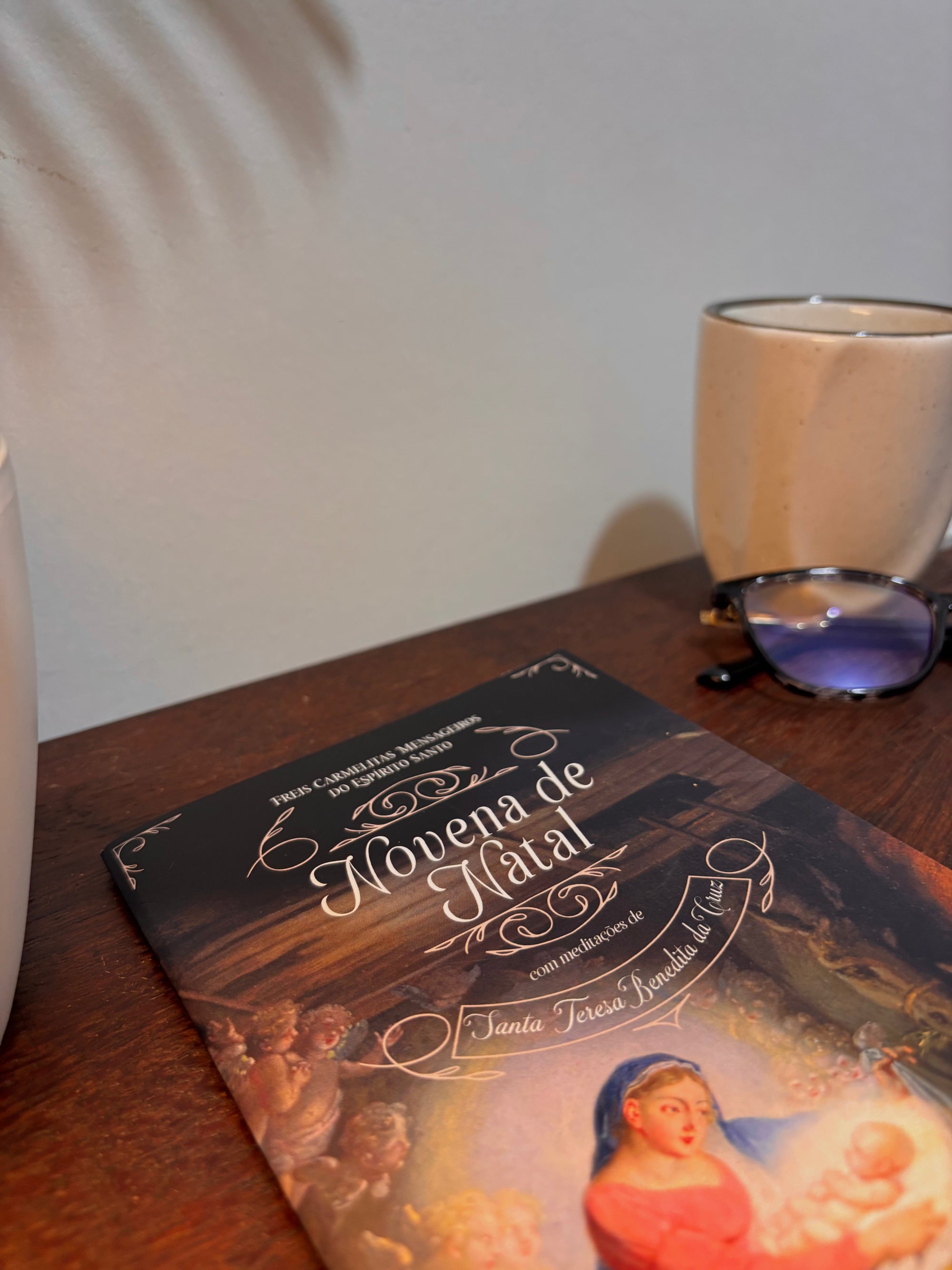 Livro Novena de Natal - Meditações Santa Teresa Benedita da Cruz
