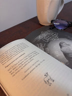 Livro Novena de Natal - Meditações Santa Teresa Benedita da Cruz
