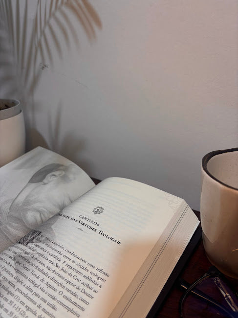 Livro A Fé na Noite