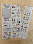 Terço das Práticas  de Santa Teresinha (contador) e com encarte do terço