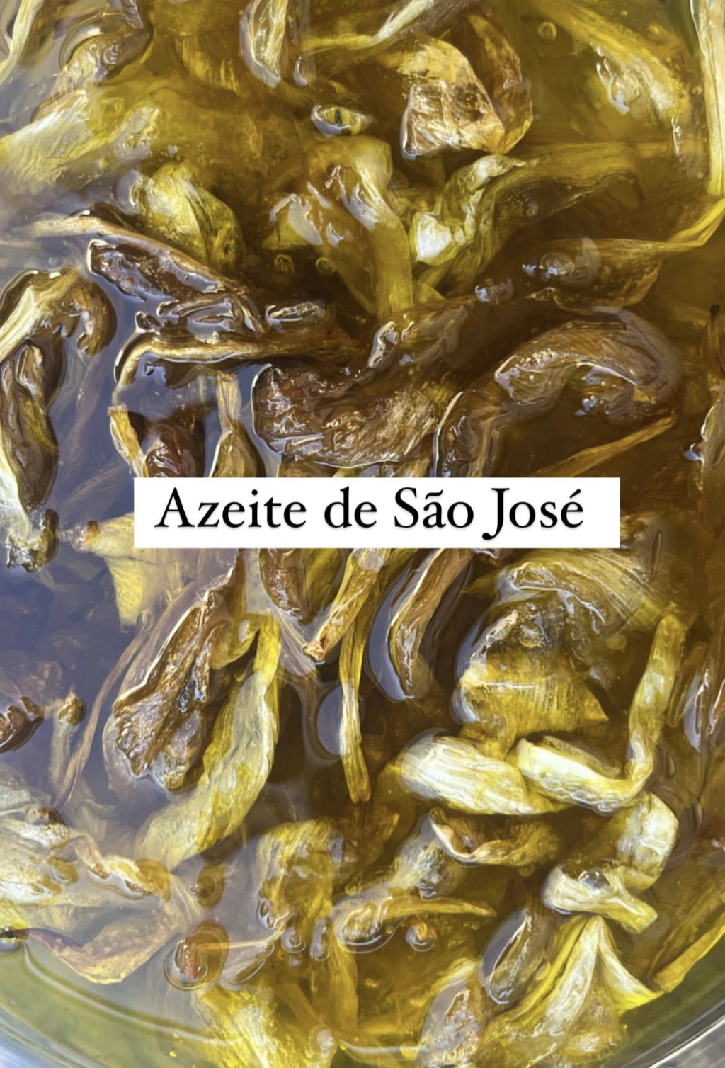 Óleo de São José 10 ml - Sacramental