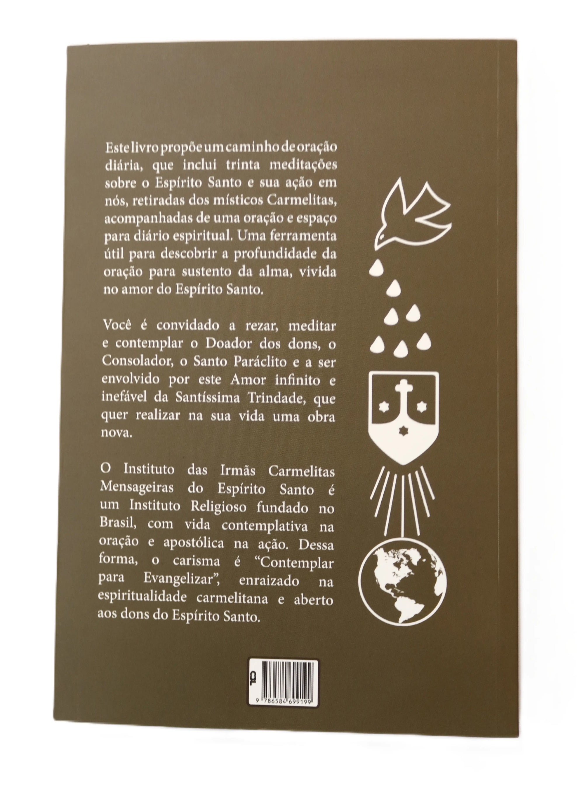 Livro Espírito Santo de Amor - 30 dias de Meditação com os Místicos do Carmelo /saldão de verão - compre 2 leve 3