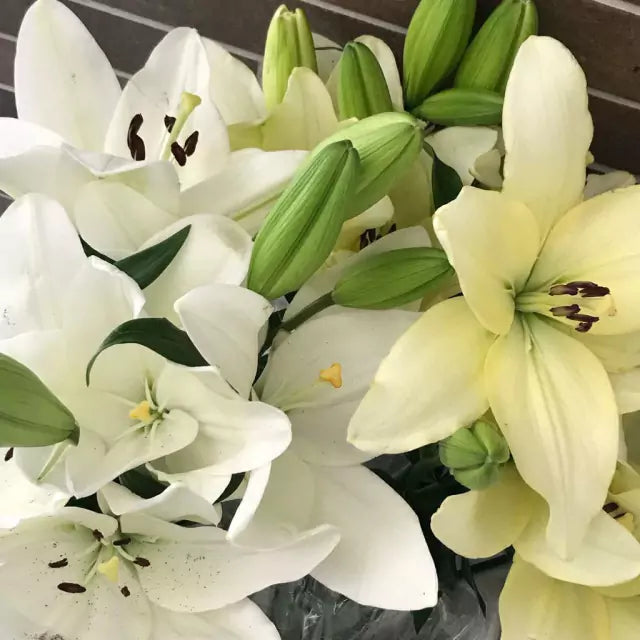 Óleo de São José 5ml - Sacramental /saldão de verão - compre 2 leve 3